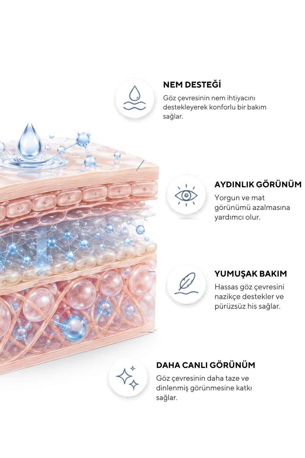 Göz Altı Bakım Serumu – Kafein & Peptit, Morluk ve Şişkinlik Karşıtı 30 ml
