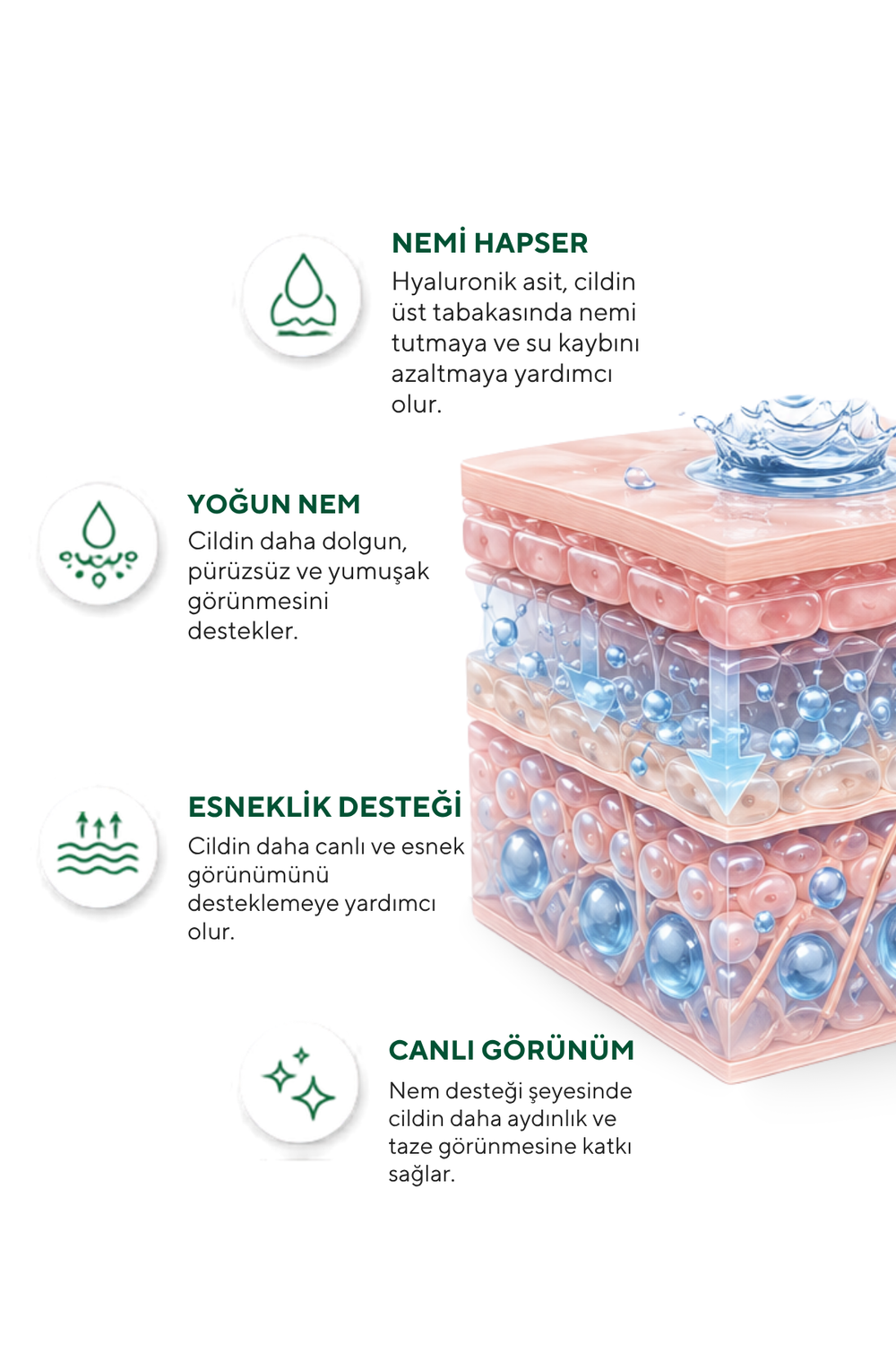 Hyaluronic Acid Serum – Yoğun Nemlendirici ve Cilt Bariyeri Destekleyici 30 ml